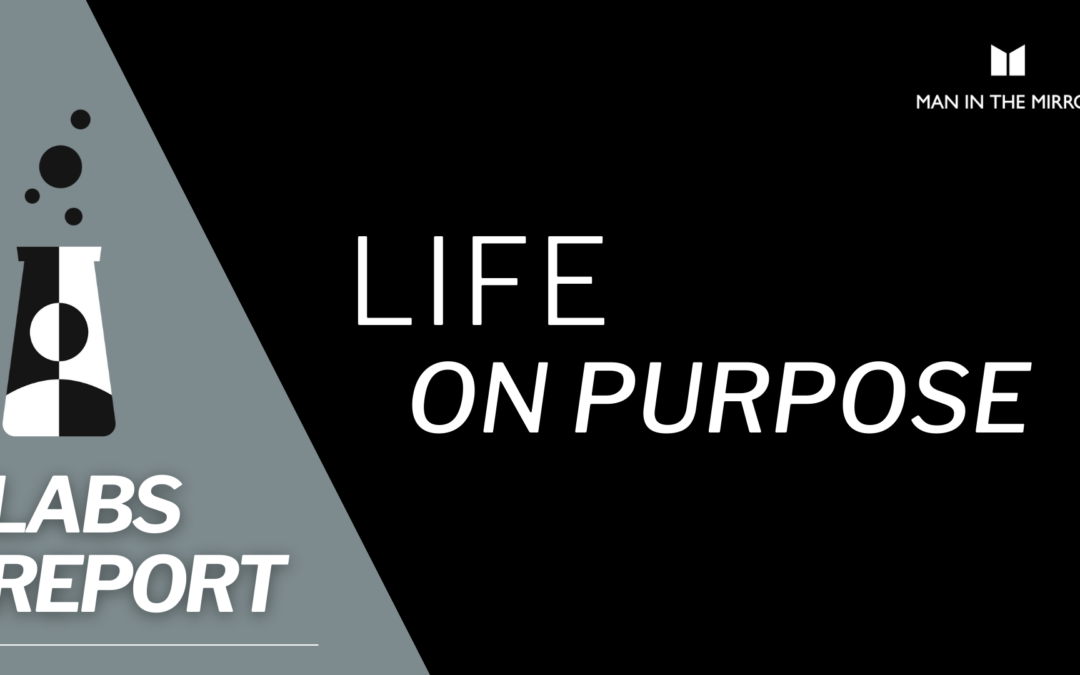 Mirror Labs Report - Life On Purpose