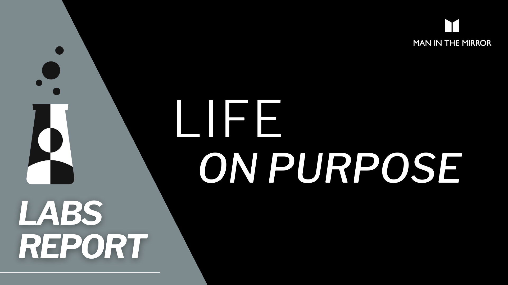 Mirror Labs Report – Life On Purpose Mirror Labs Report - Life On Purpose