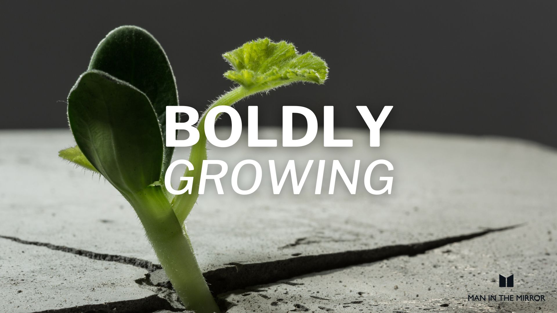 BOLDLY GROWING Growing boldly: awareness, ownership, hope