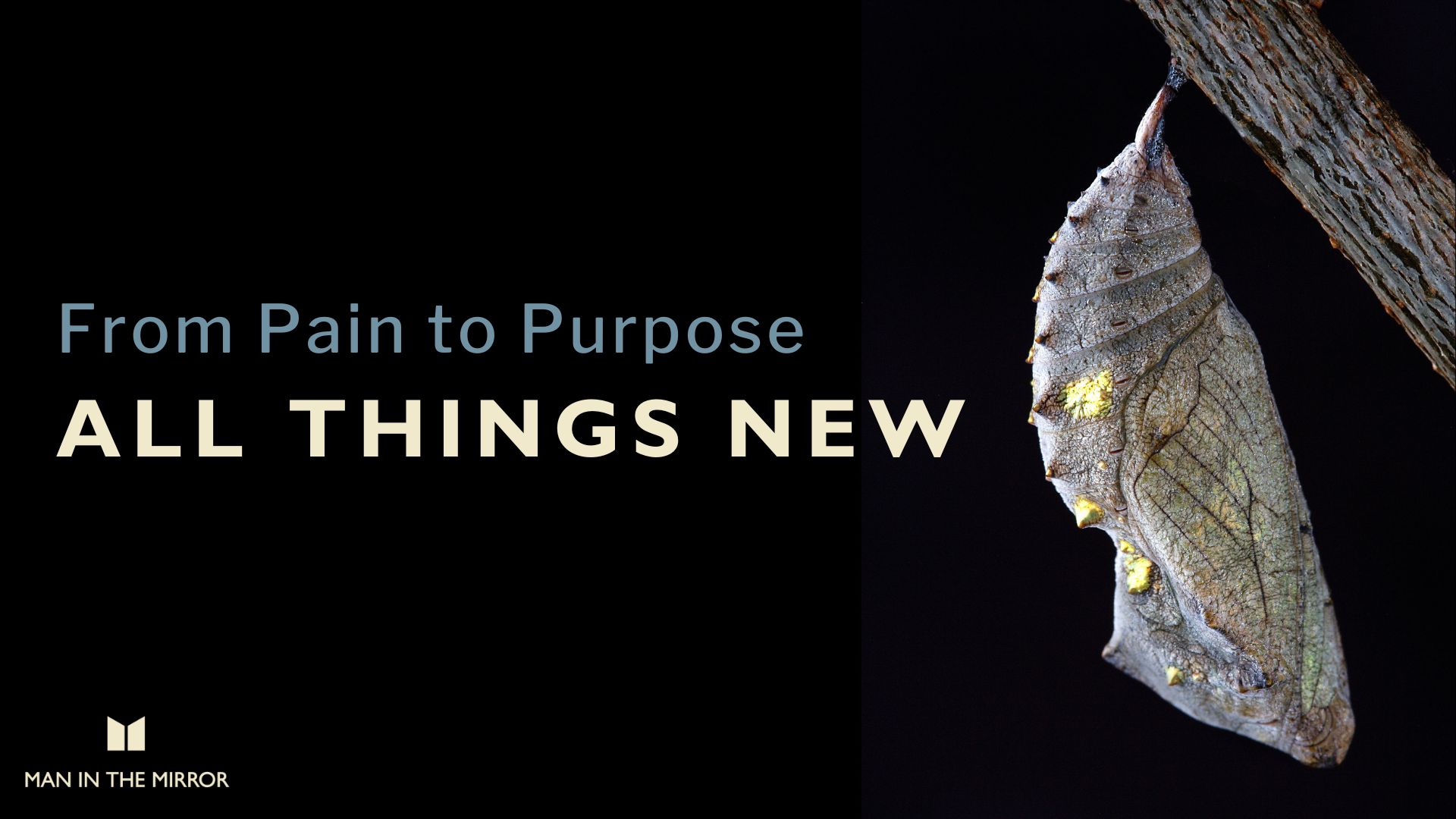 All Things New From Pain to Purpose All things new: from pain to purpose - cocoon - metamorphosis