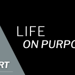Mirror Labs Report - Life On Purpose