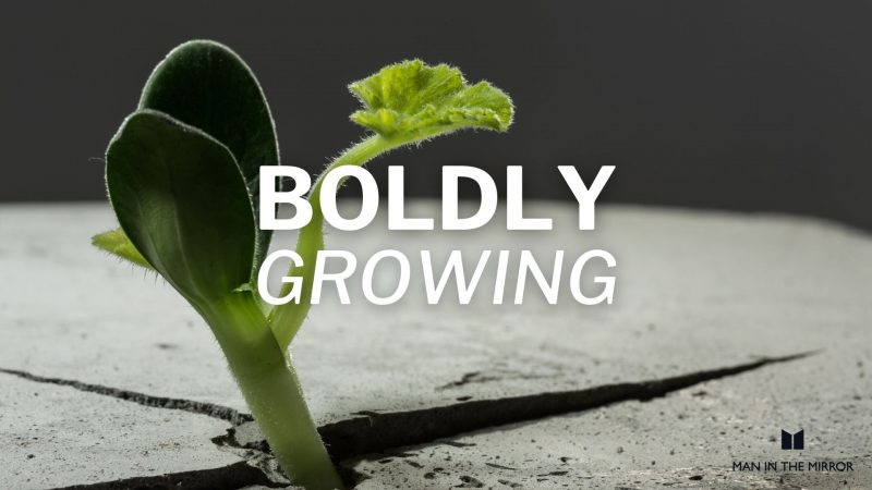 Growing boldly: awareness, ownership, hope