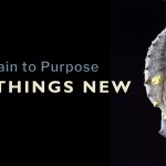 All things new: from pain to purpose - cocoon - metamorphosis