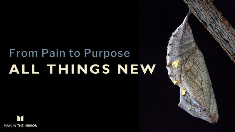 All things new: from pain to purpose - cocoon - metamorphosis